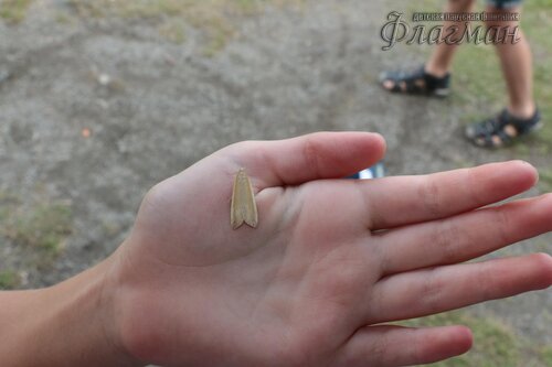 Берег весёлых Робинзонов 2017